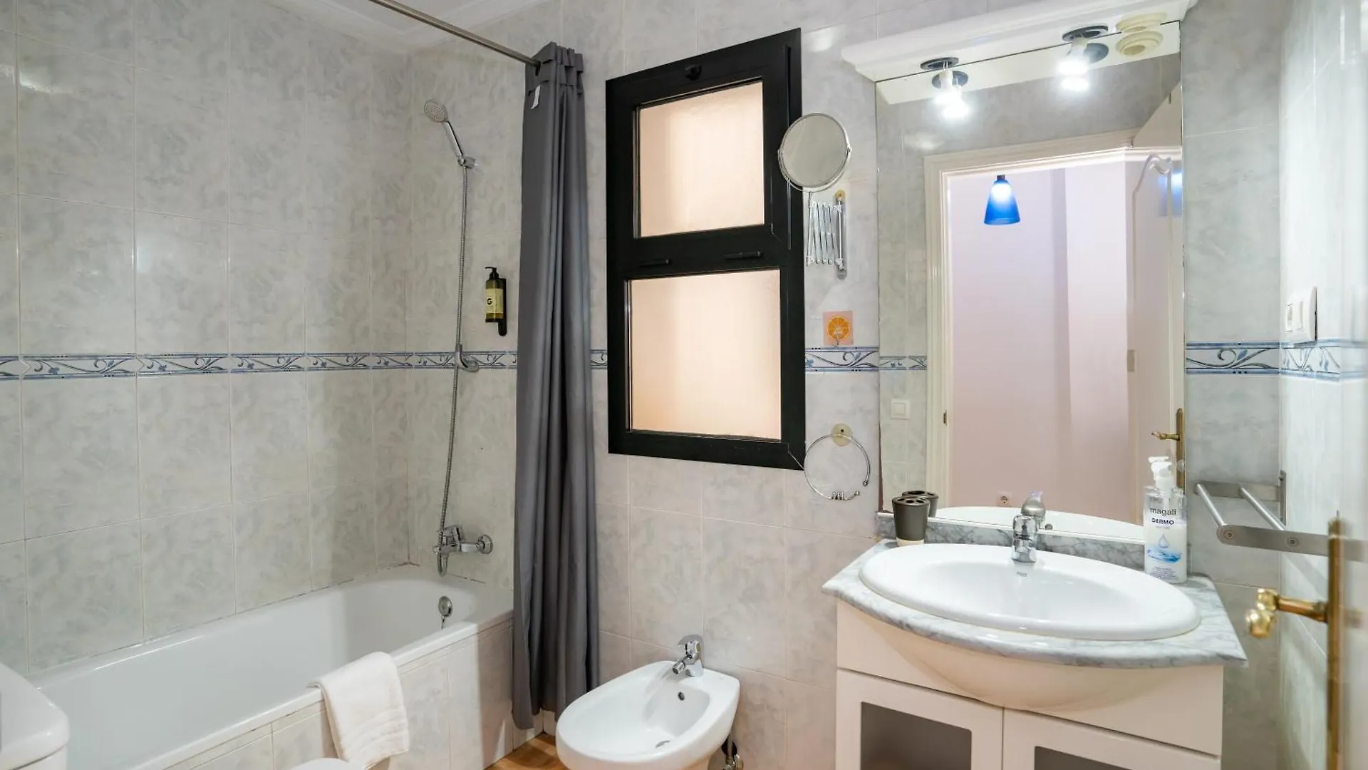 Malaga Centro Living Apartment