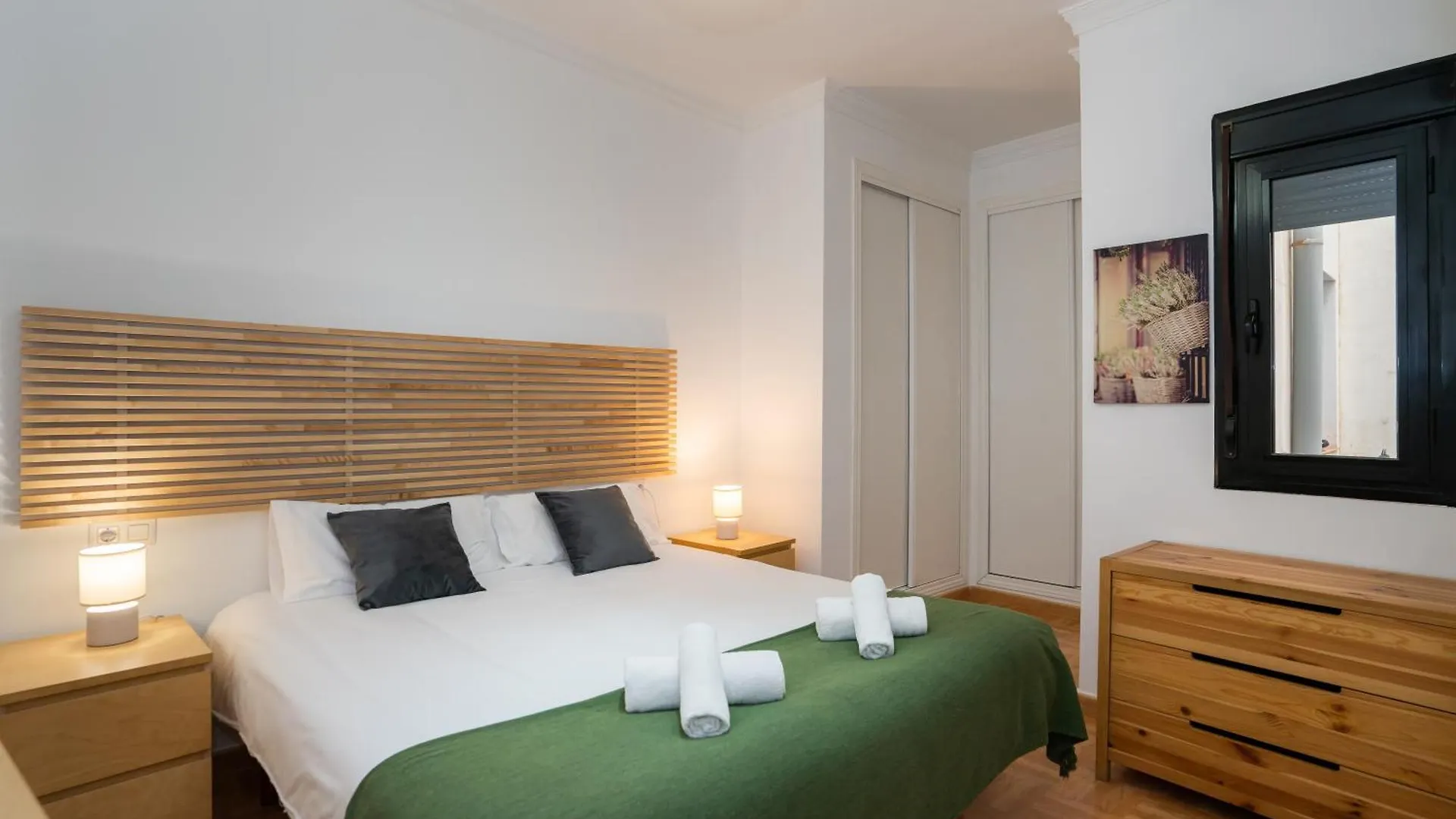 Malaga Centro Living Apartment